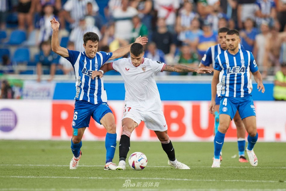 不仅因为其 不仅因为其